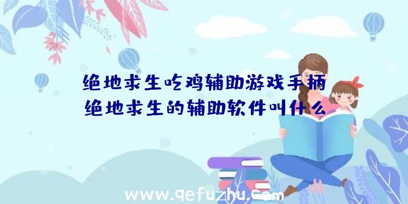 「绝地求生吃鸡辅助游戏手柄」|绝地求生的辅助软件叫什么